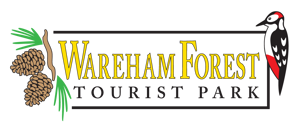 /media/yj1hk1b1/wf-logo.png?width=300&v=1dbcef248df68d0
